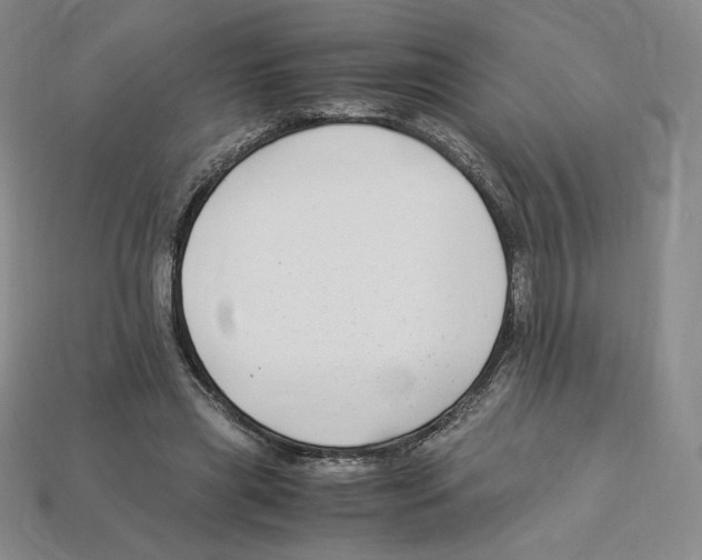 X0000112900445200910021438