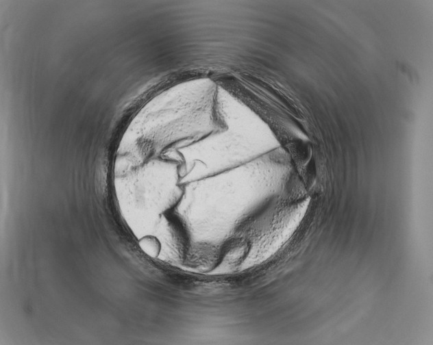 X0000112900446200910021438
