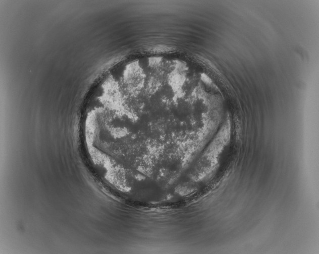 X0000112900447200910021438