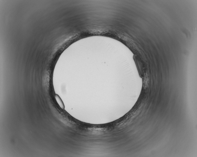 X0000112900448200910021438