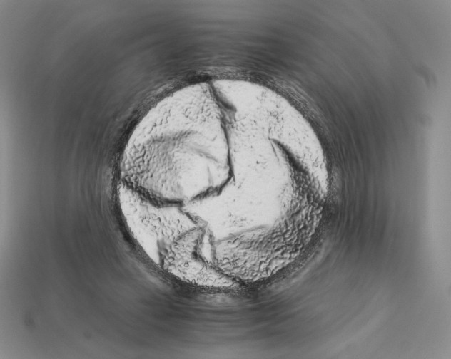 X0000112900449200910021438