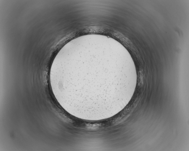 X0000112900450200910021438