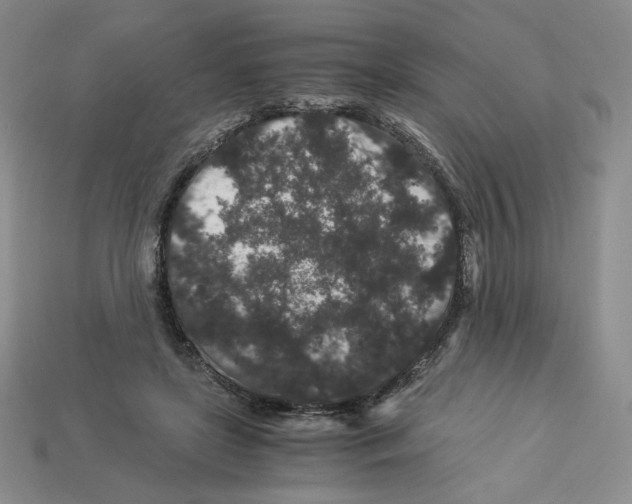 X0000112900451200910021438