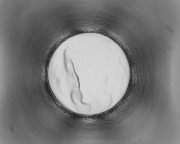 X0000112900453200910021438