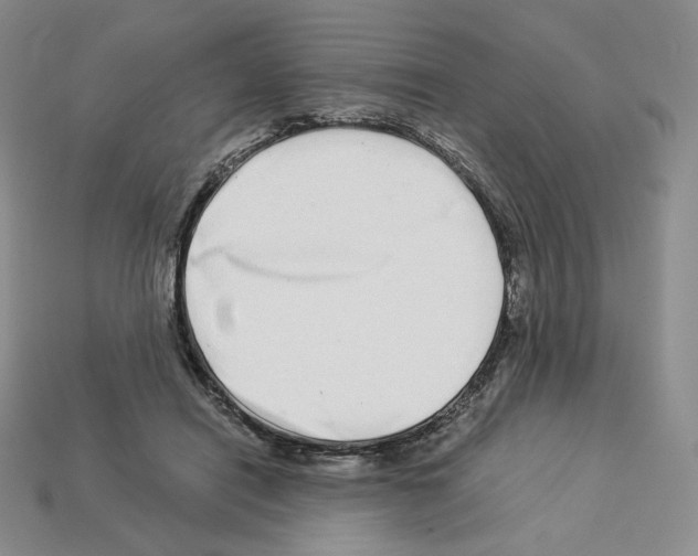 X0000112900454200910021438