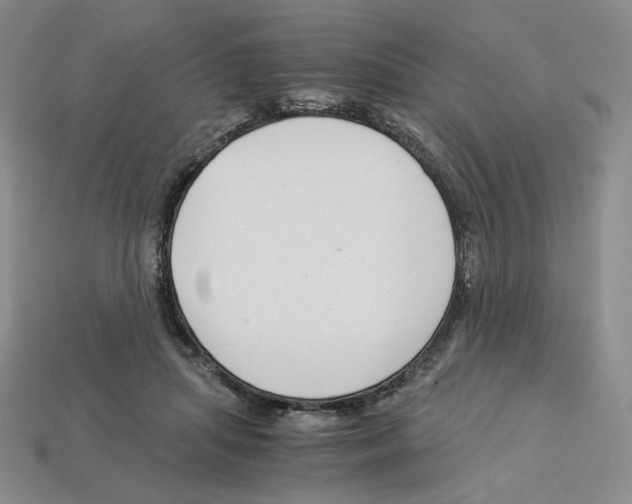 X0000112900455200910021438