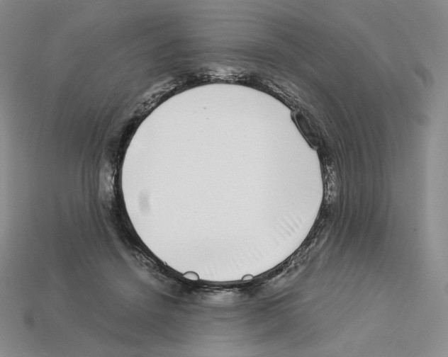 X0000112900456200910021438