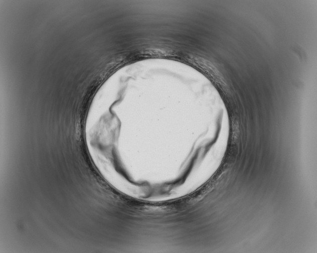 X0000112900457200910021438