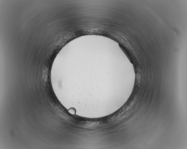 X0000112900458200910021438