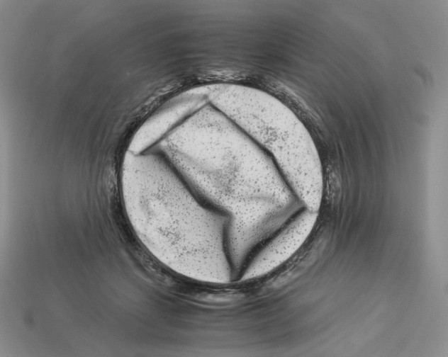 X0000112900459200910021438
