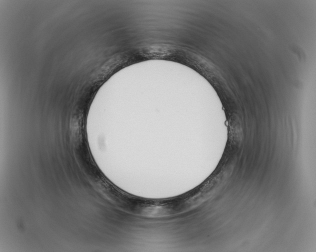 X0000112900460200910021438