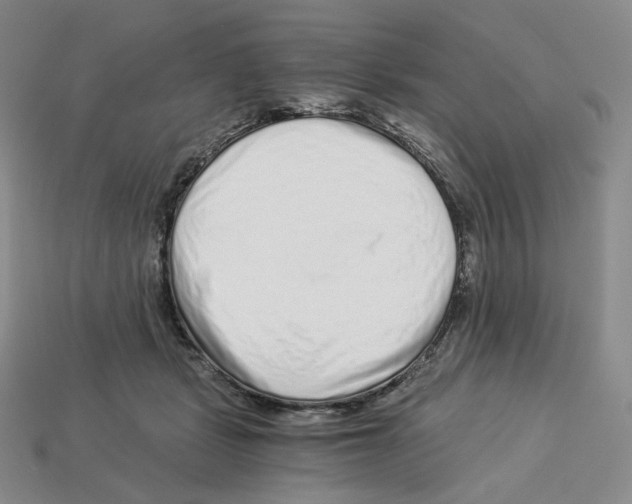 X0000112900461200910021438