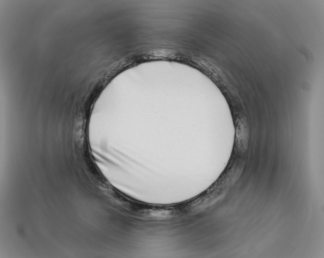 X0000112900462200910021438