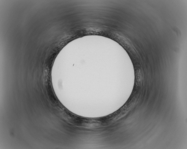 X0000112900463200910021438