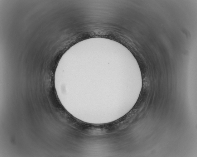 X0000112900464200910021438