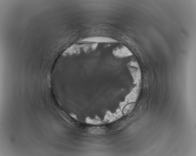 X0000112900465200910021438