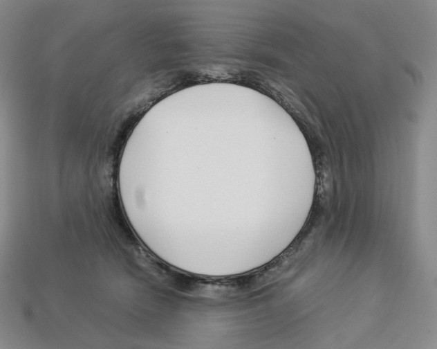 X0000112900466200910021438