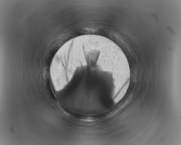 X0000112900467200910021438