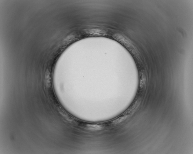 X0000112900469200910021438