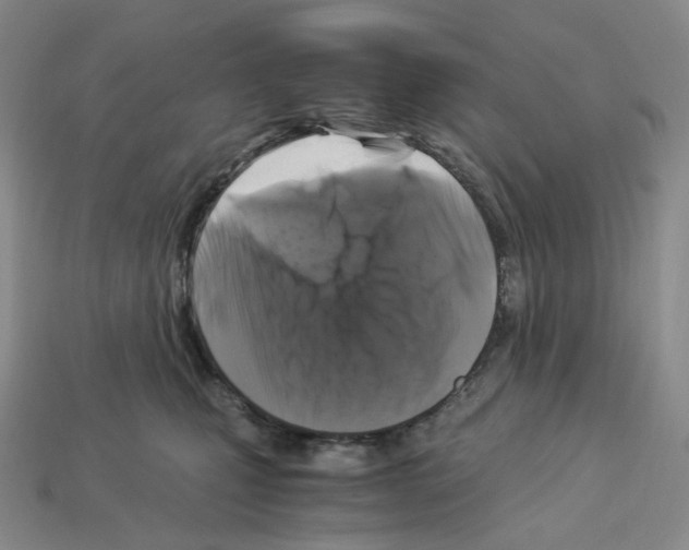 X0000112900471200910021438