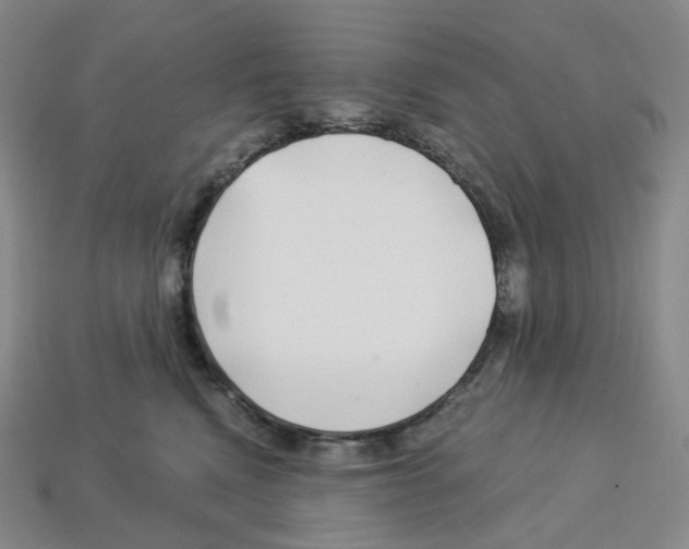 X0000112900472200910021438
