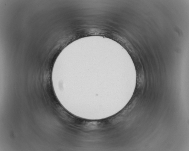 X0000112900473200910021438