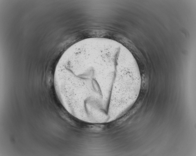 X0000112900474200910021438