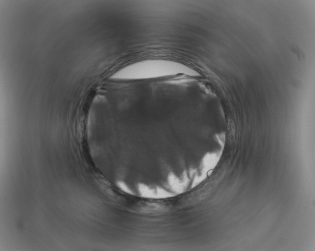 X0000112900475200910021438