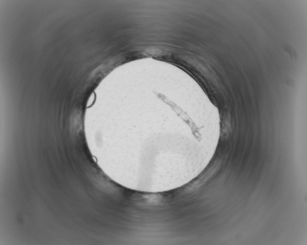 X0000112900478200910021438