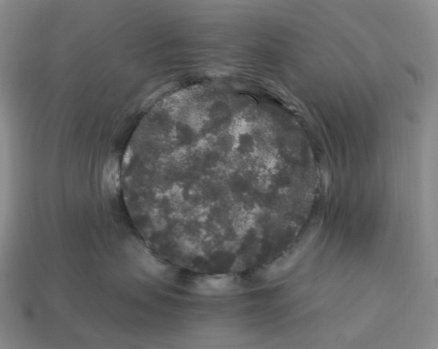 X0000112900479200910021438