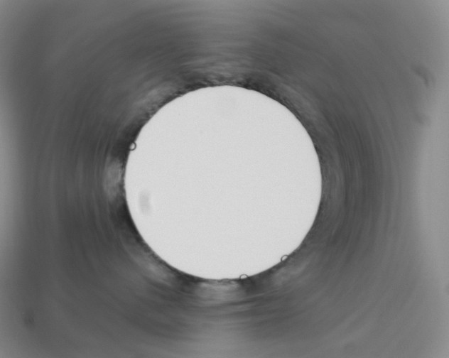 X0000112900480200910021438