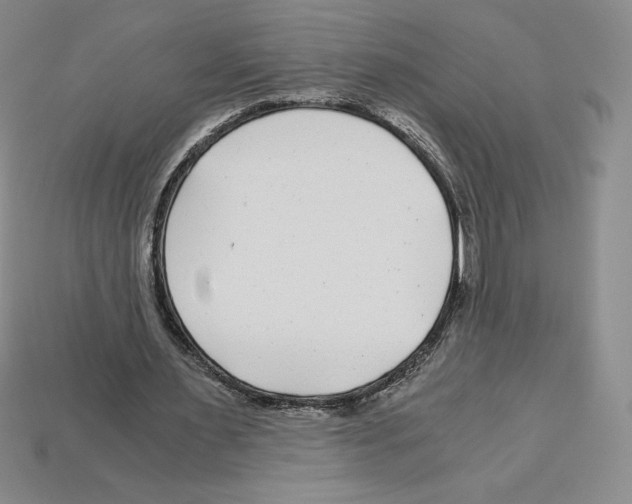 X0000112900483200910021438