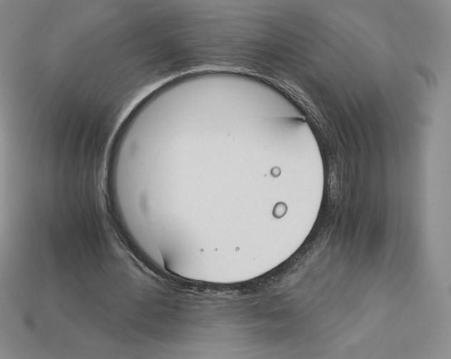 X0000112900484200910021438