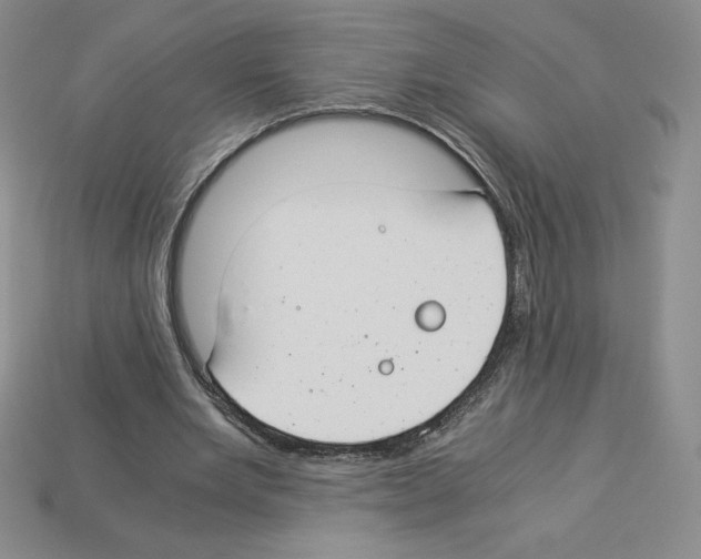 X0000112900485200910021438