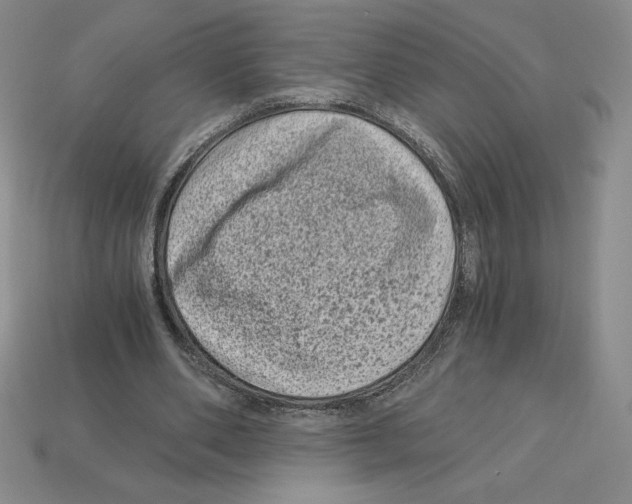 X0000112900486200910021438
