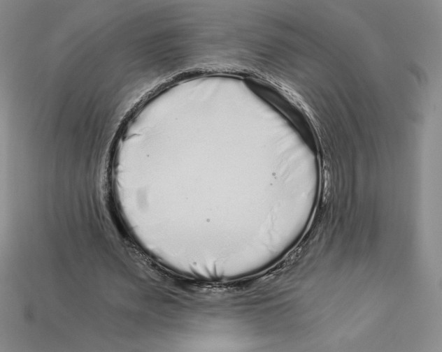 X0000112900487200910021438