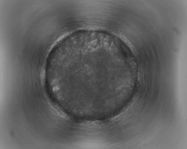 X0000112900488200910021438