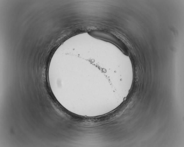 X0000112900489200910021437