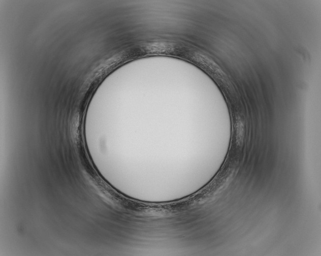 X0000112900490200910021437
