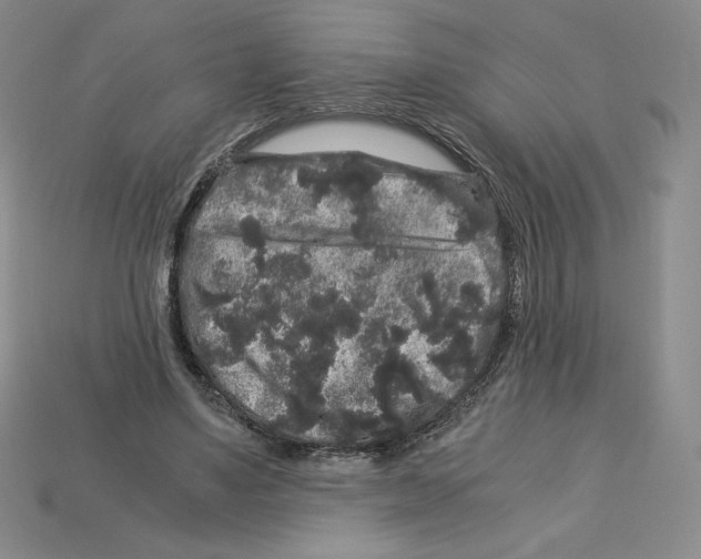 X0000112900491200910021437
