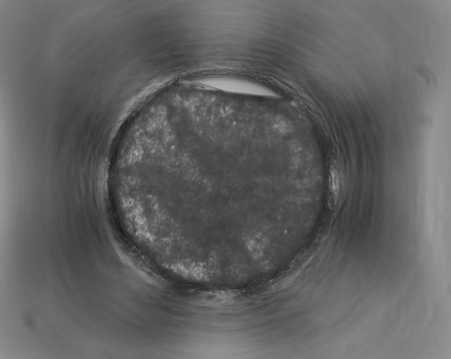 X0000112900492200910021437