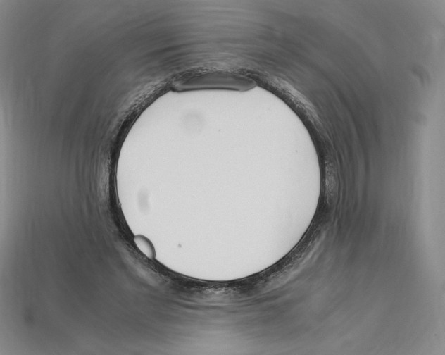 X0000112900493200910021437