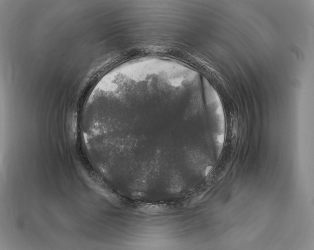 X0000112900494200910021437
