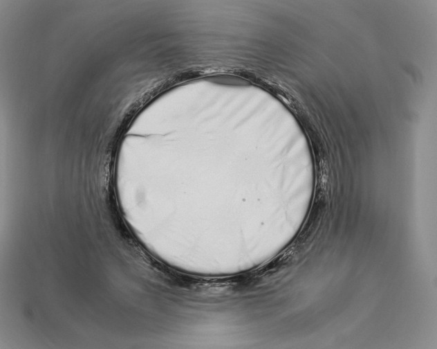 X0000112900495200910021437