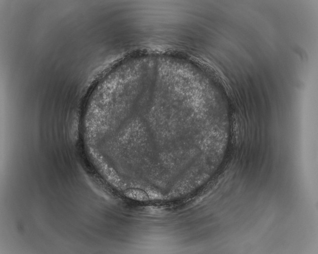 X0000112900496200910021437