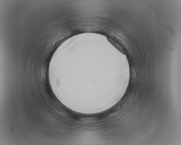 X0000112900499200910021437