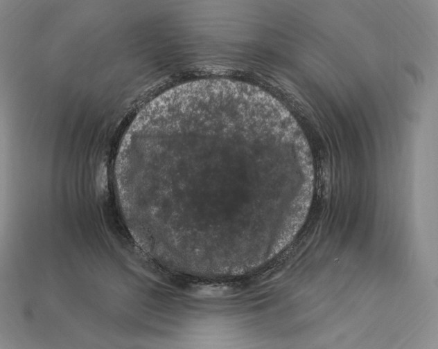 X0000112900500200910021437