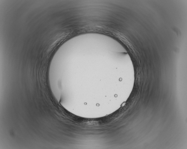 X0000112900501200910021437