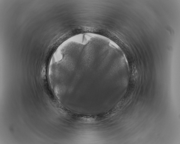 X0000112900502200910021437
