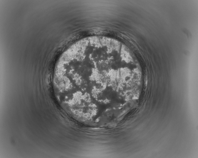 X0000112900503200910021437